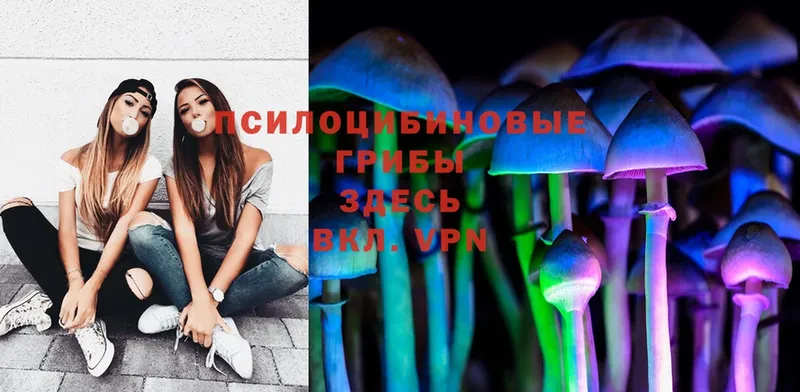 Галлюциногенные грибы Psilocybe  закладки  Лодейное Поле 